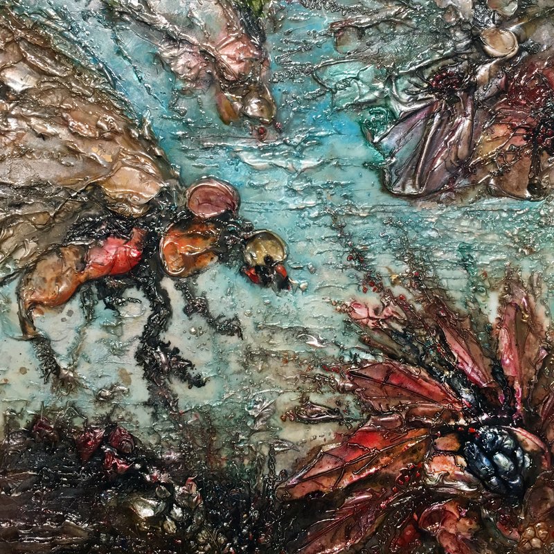 Nature...avec insecte