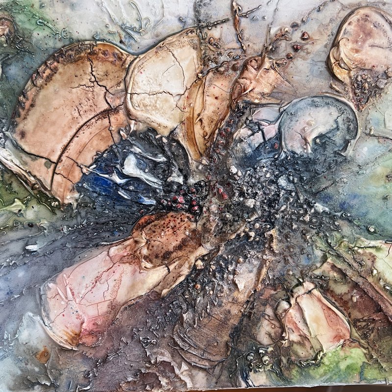 Nature...vignes et fruits